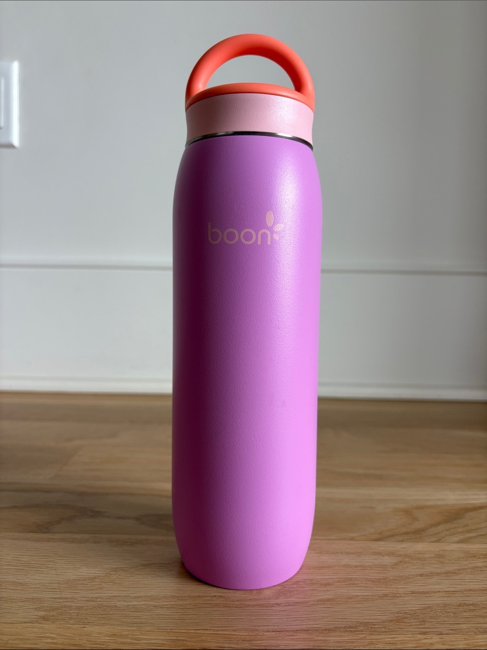 BOON | FROSH Portable Stainless Steel Milk Chiller Bottle, Storage